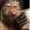 amber - @amber.rose.pond - TikTok