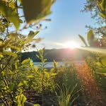 Amber Pond - @pondamber - Instagram