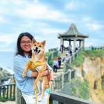 Amber Chu - @amber_poppy_chu - Instagram