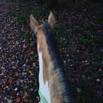 Amber Porterfield - @redneckcowgirl26 - Instagram