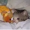 Amberly.___ - @amberposts - TikTok