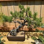 Amber Postell - @postell_house_of_hobbies - Instagram