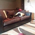 Mike Predmore - @mikeamber.predmore - Instagram