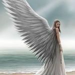 Amber Press - @amber_press - Instagram