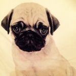 Amberpressley - @amberpressley1315 - Instagram