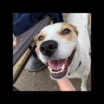 Amber Priest Bachman - @superred1206 - Instagram