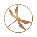 Amber Constuction - A spirted journey - @amberpropertygroup - Instagram