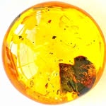Baltic amber jewelry - @prussian_amber - Instagram