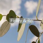 Amber Putnam - @finleyandro - Instagram
