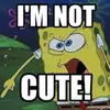 ambermcquade - @ambermcquade - TikTok