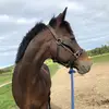 Amber Reilly - @amberreilly6 - TikTok