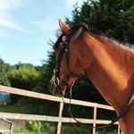 Amber Ring - @xamber.ringx - Instagram