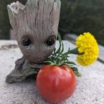 Amber Roeder - @amber_roeder - Instagram