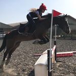🇬🇧Amber+Romeo🇬🇧 - @amber._.equestrian - Instagram
