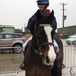 Amber&Romeo🍎 - @aah_equi - Instagram