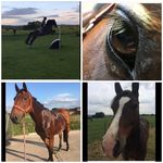 🦄Amber+Romeo🦄Eve+Bella🦄 - @my.bay.babes - Instagram
