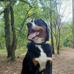 Amber.rudi1 - @amber_rudi1 - Instagram