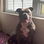 Amber Clement - @amber.safford - Instagram