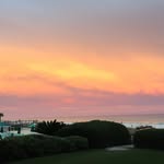 Amber Safford - @familyfindingfreedom - Instagram