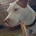 Amber Sapp - Facebook