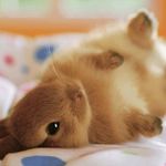 Amber Sapp - @ambersapp97 - Instagram