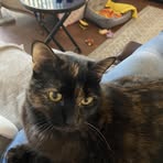 Amber Schmitt - Facebook