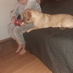 @amber.schulte_ - Instagram