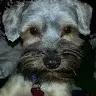 Amber Serna - @leoneslife - TikTok