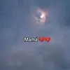 Amber Shelly - @amber.shelly3 - TikTok