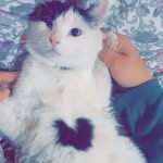 Meriem Kebdani - @amber.shelly.520 - Instagram