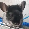 Ambers_House - @ambers_house - TikTok