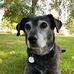 Amber Sievers - Facebook