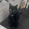 Amber Souders - @ambersouders2 - TikTok