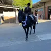 Amber Steger - @ambersteger - TikTok