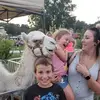 Amber Stegner - @amberstegner - TikTok