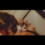 Amber Stine - @slime.stine.9 - Instagram
