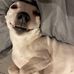Amber Stitt - Facebook