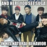 Amber Stoddard - @amberbts4life - Instagram