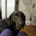 Amber Stong - Facebook