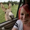 Amber Storer - @amberstorer - TikTok
