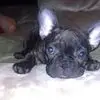 Amber - @amberstorts - TikTok