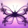Amber Strawn - @queen.b.aks - TikTok