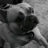 Amber Street - @amber.street7 - TikTok