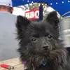 amberstribling - @amberstribling - TikTok