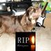 Amber Strickler - Facebook