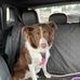 Amber Studer - Facebook