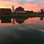 Amber Stull - @amber.stull.16 - Instagram