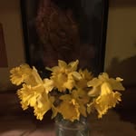 Amber Grace Stumbo - @ambergstumbo - Instagram