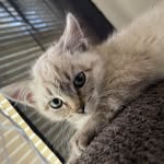 Amber Lynn Sunderland - @amber.sunderland.904 - Instagram