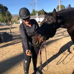 Amber Burch Tanner - @alwaysaussies_socal - Instagram